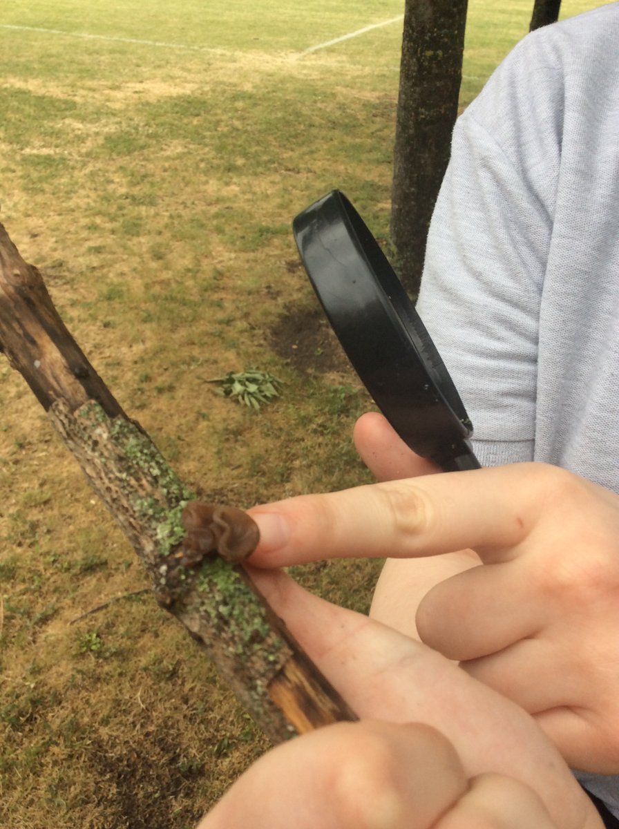 RSPB_Learning's tweet image. It was a pleasure to award Athena School&apos;s Key Stage 3 group their Gold #WildChallenge award this week. Check out the amazing fat balls they&apos;ve made to feed the local birds. To see what your class could do; bit.ly/rspbwildchalle… #OutdoorLearning #TeacherTwitter #NaturesVoice