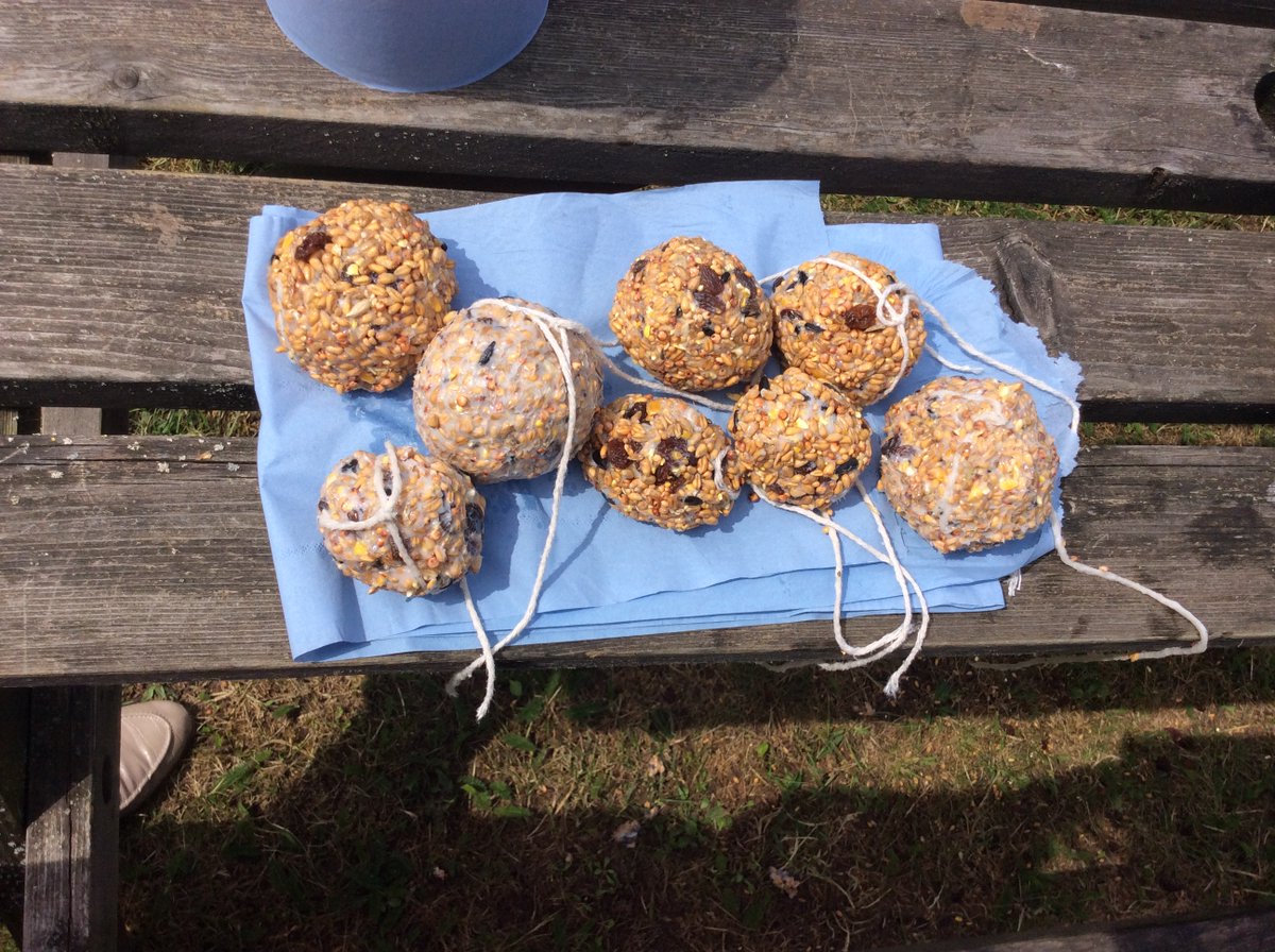 It was a pleasure to award Athena School's Key Stage 3 group their Gold #WildChallenge award this week. Check out the amazing fat balls they've made to feed the local birds. To see what your class could do; bit.ly/rspbwildchalle… #OutdoorLearning #TeacherTwitter #NaturesVoice