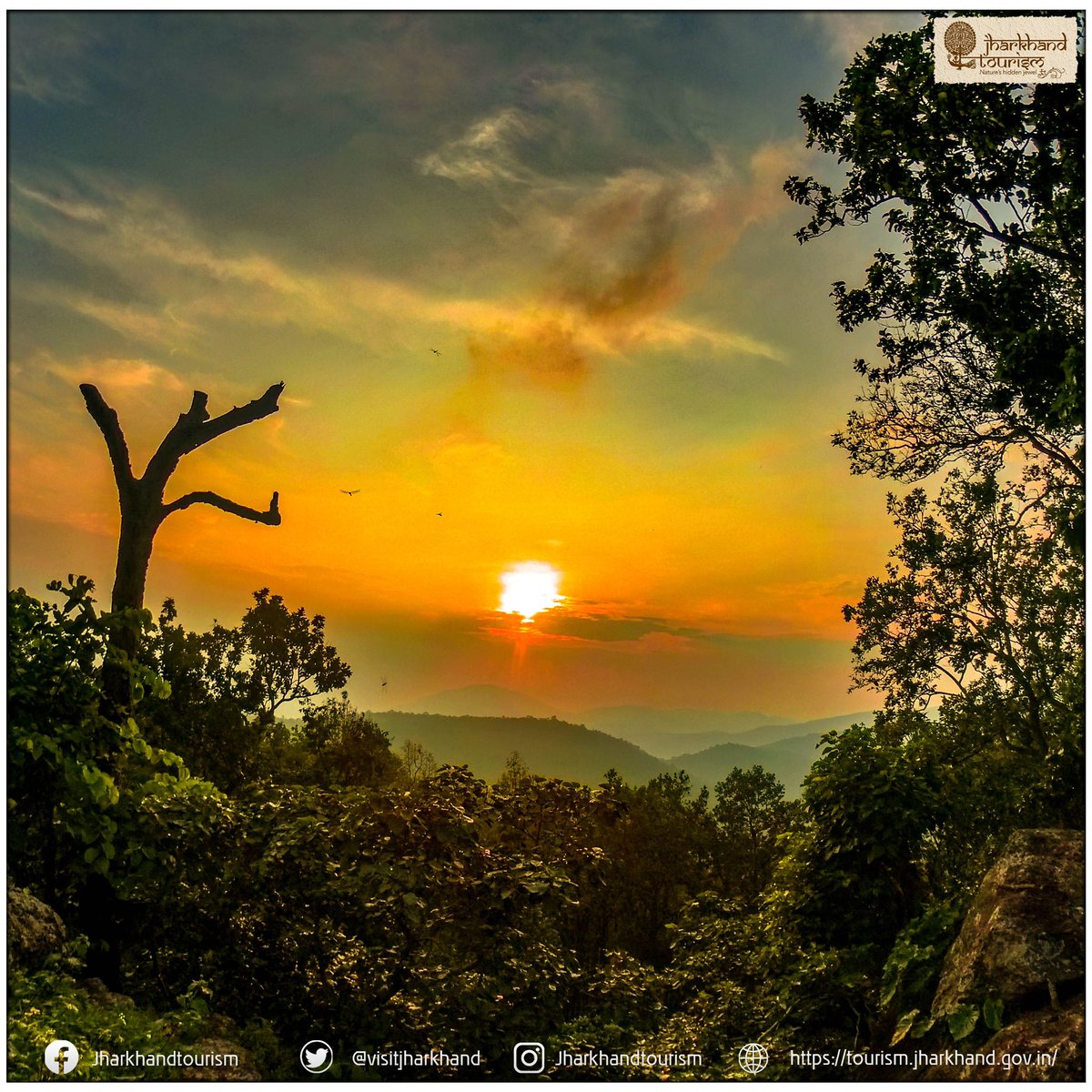 VisitJharkhand's tweet photo. प्रकृति जब अपने अथाह प्रेम को व्यक्त करती है तो वो शाम में डूबते सूरज को इतना खूबसूरत बना देती है कि जो भी देखें बस देखता ही रह जाए। बिल्कुल किसी हसीन कैनवास की तरह।

नेतरहाट की शाम आपको बुला रही है। @HemantSorenJMM @LateharDistrict 
. 
. 
. 
. 
.  
#incredibleindia https://t.co/aVJ9xodrdV
