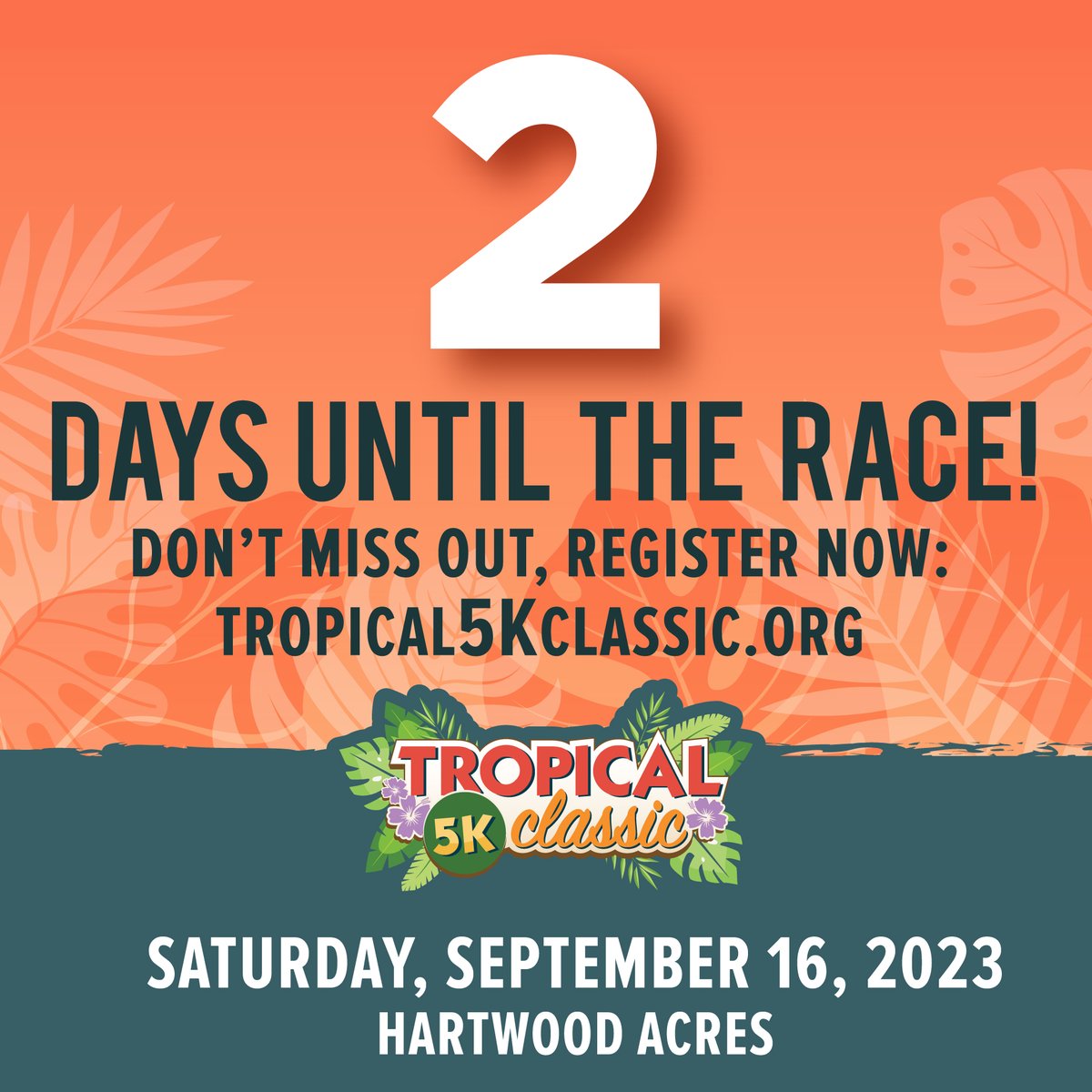 Tropical 5K Classic tweet media