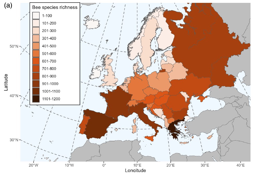 Obs_Abeilles's tweet photo. Important paper for OA, we participated to the National records of  European bee and hoverfly species! Result : 2138 bee and 913 hoverfly species. 🇫🇷 is the richest country for🪰and the fourth for🐝 ! Have a look : https://t.co/LCTG89B26C with @BenGeslin @LiseRops @AdrienPerrard https://t.co/8CSDL1R7MA