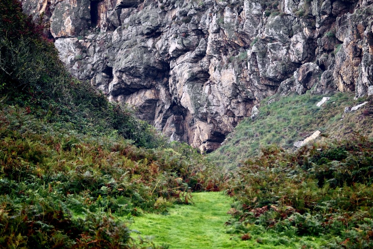 The All Night Chemist tweet media