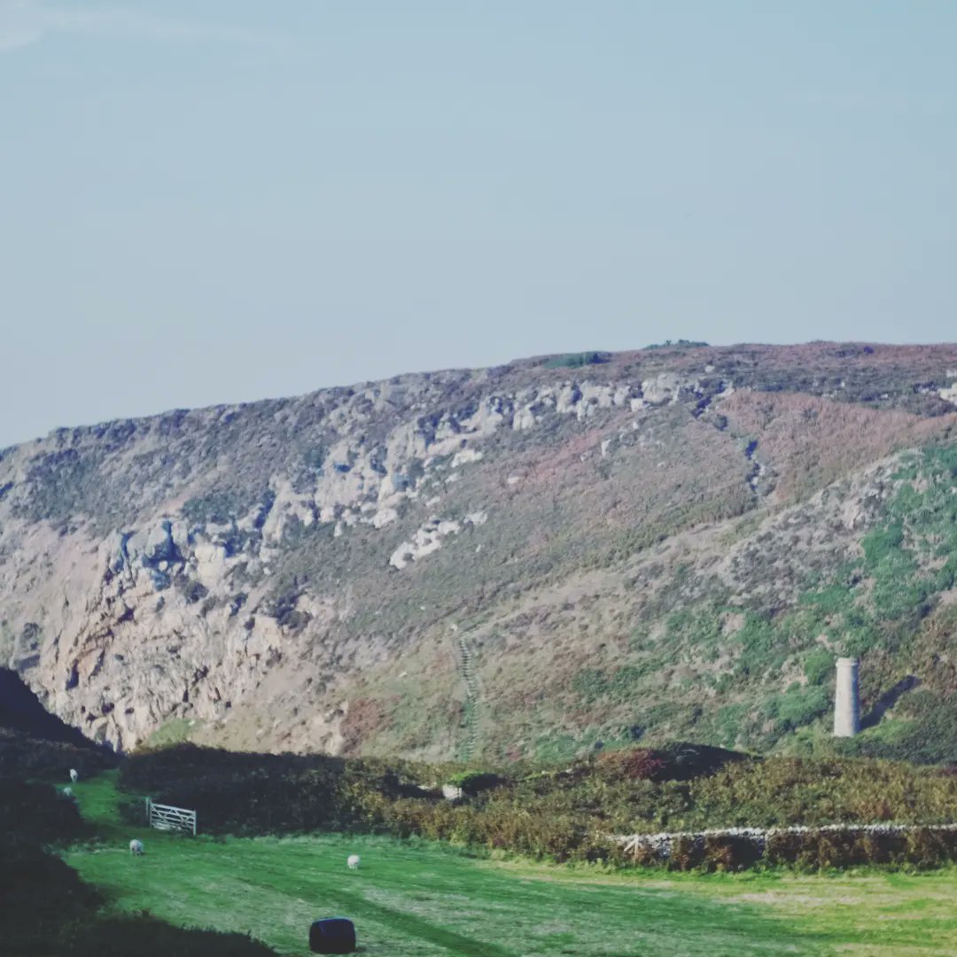 The All Night Chemist tweet media