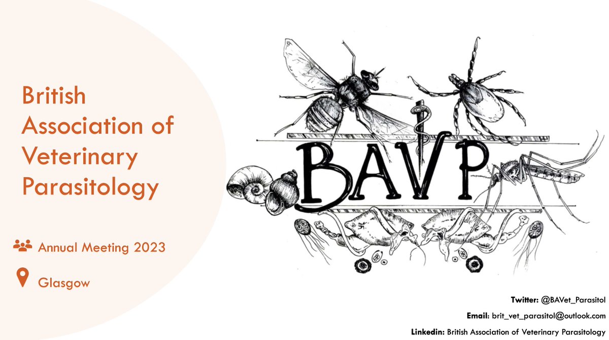 Here we go...  #BAVP23