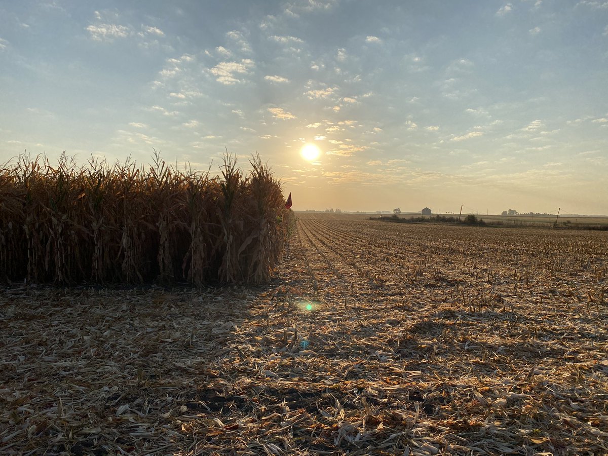 Karl Bobholz tweet media