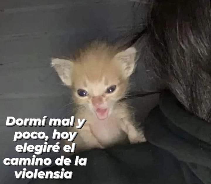 Jean Pierre (@jsalmasi) on Twitter photo 