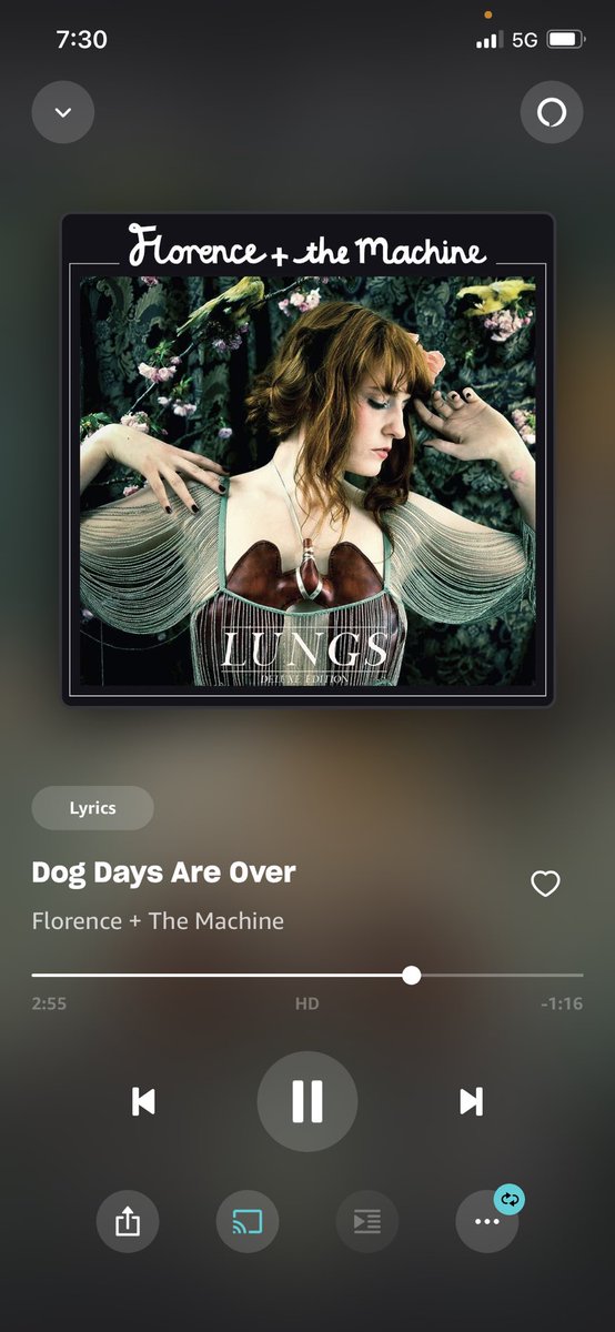 Kalli Gazzano tweet media