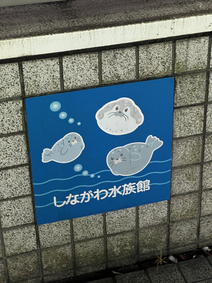 Fisky 🇩🇪 Catboy VTuber🌈🐾 tweet media