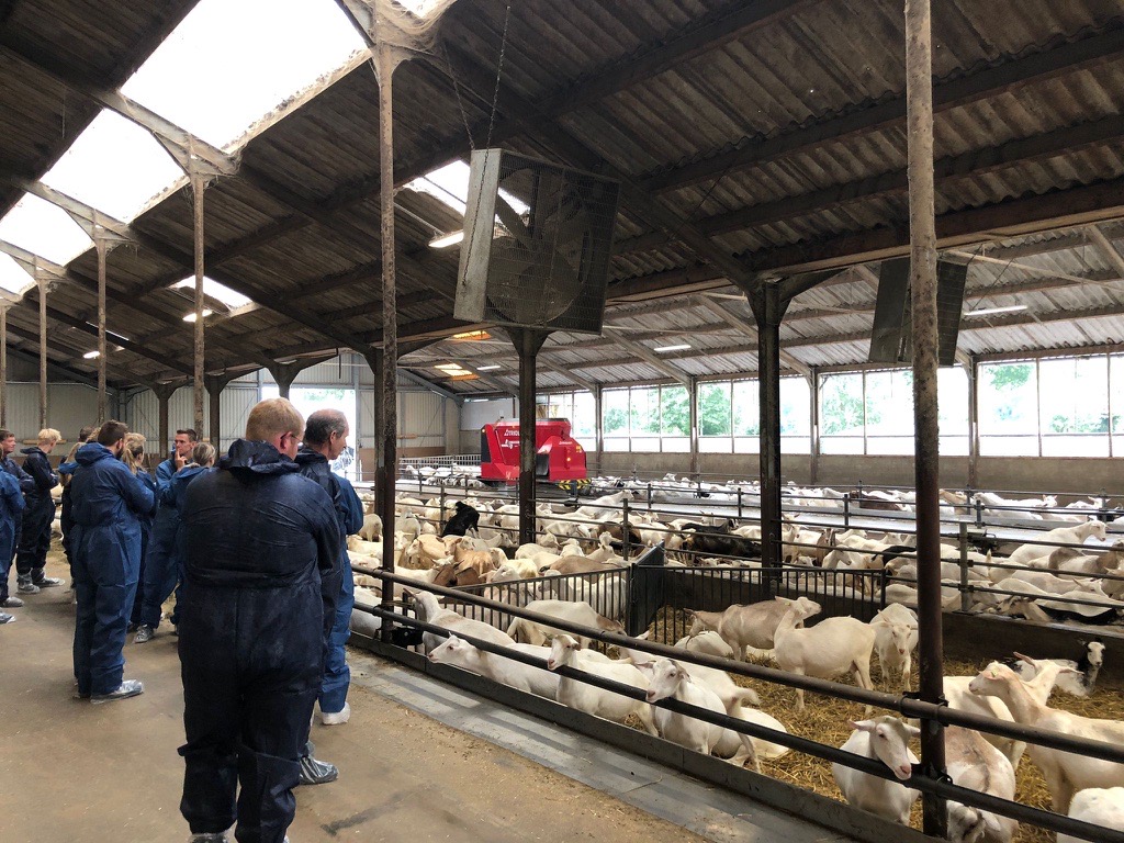 Succesvolle studiedag voor geitenhouders uit Noord- &amp; Oost Nederland i.s.m. Forfarmers bij de familie Tuinte. Met de presentatie van ons automatische voersysteem sloot dit naadloos aan bij het thema van die dag t.w. efficiënte en duurzame geitenhouderij
#trioliet #geitenhouderij