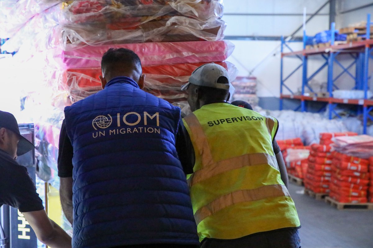 IOM_Libya's tweet photo. IOM Libya has dispatched urgent humanitarian assistance including supplies of essential non-food items and medical aid to areas most affected by the catastrophic #Storm Daniel and will continue to upscale its emergency response. https://t.co/paMmQuqhzm