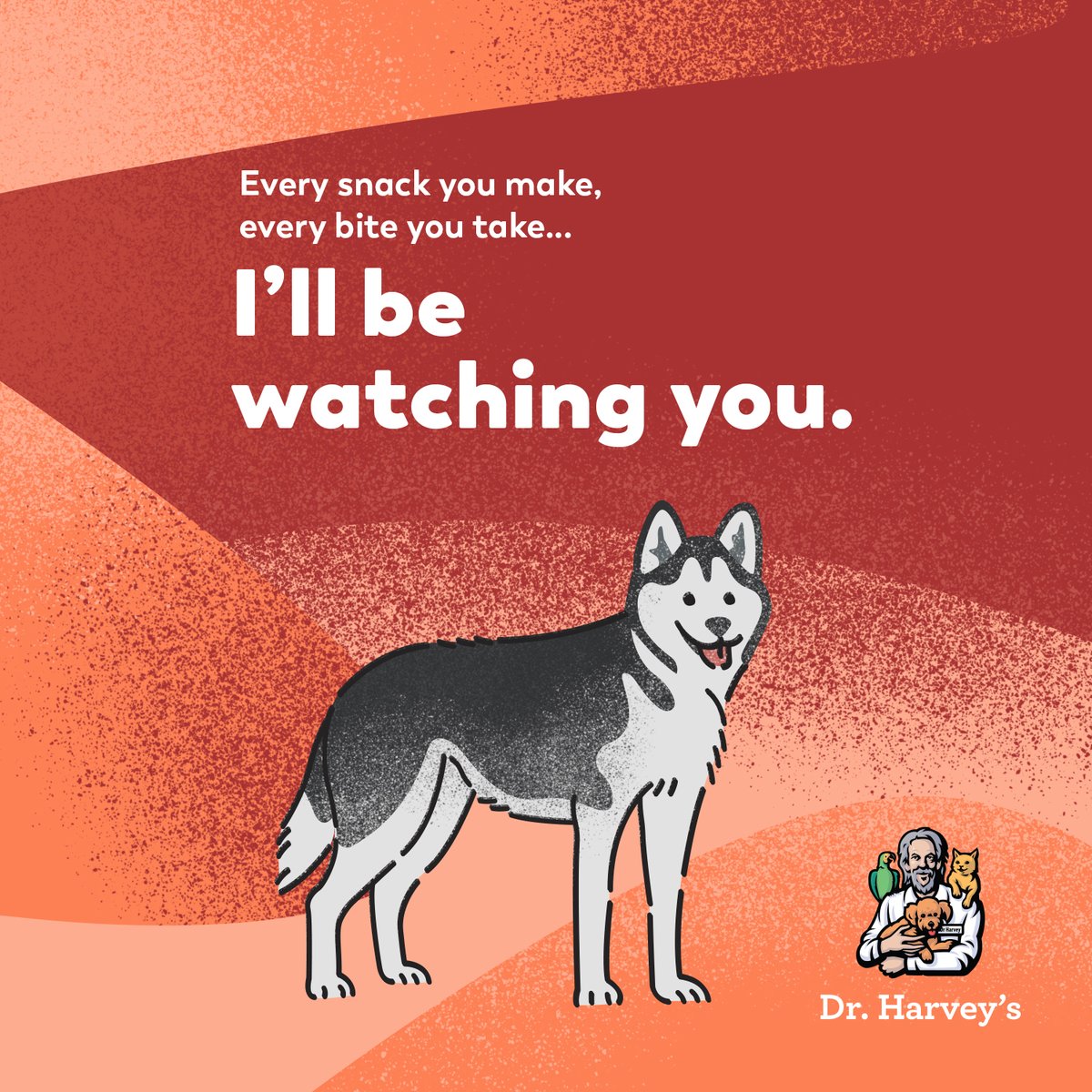 drharvey's tweet image. Facts 😂 Gotta love all our healthy eaters. The best way to do that? Be a healthy feeder!  #deepdogthoughts #drharveysdogs #dogmemes #caninehealth #dogtreats #hungrydog #lovethemlonger