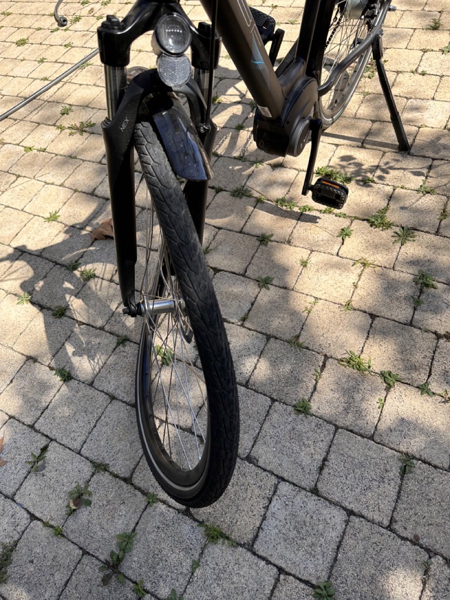 zancan 🌿 tweet media