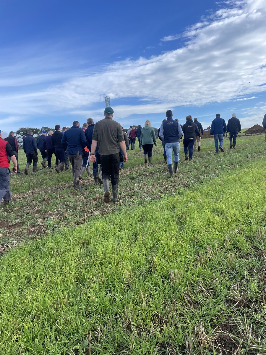 Very informative morning at the farm of Teagasc Tillage Signpost farmer Don Somers just outside of Enniscorthy, Co Wexford. A range of speakers discussed topics such as Cover Crops, Soil Health, Organic Manures and Precision Farming #teagasc #tillage #irishfarming #irishresearch
