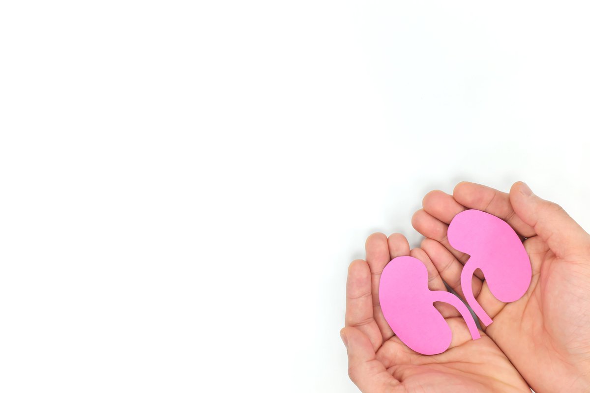 26 oktober is het webinar Nierdonatie bij leven 
Hoor alles over de medische, praktische en psychosociale kanten van nierdonatie.
En deel je ervaringen met mensen die al een nier gedoneerd hebben of erover nadenken dit te doen.
Lees meer of meld je aan: nvn.nl/activiteiten/a…