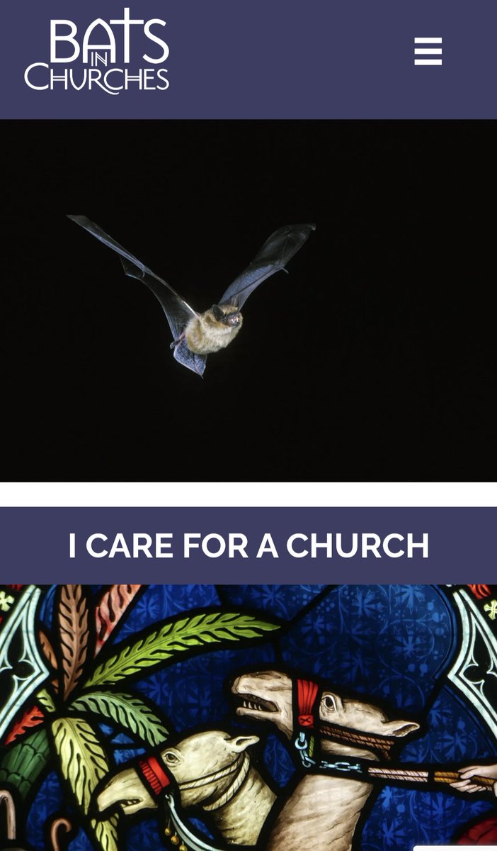_BCT_'s tweet photo. "Often investing in having an ecologist up front early on, to design a bespoke solution that’s right for you, to give you the desired outcome, is potentially a way of saving money further down the line." @BatsinChurches #FlyingToTheFuture https://t.co/3aVx1WMiIr
