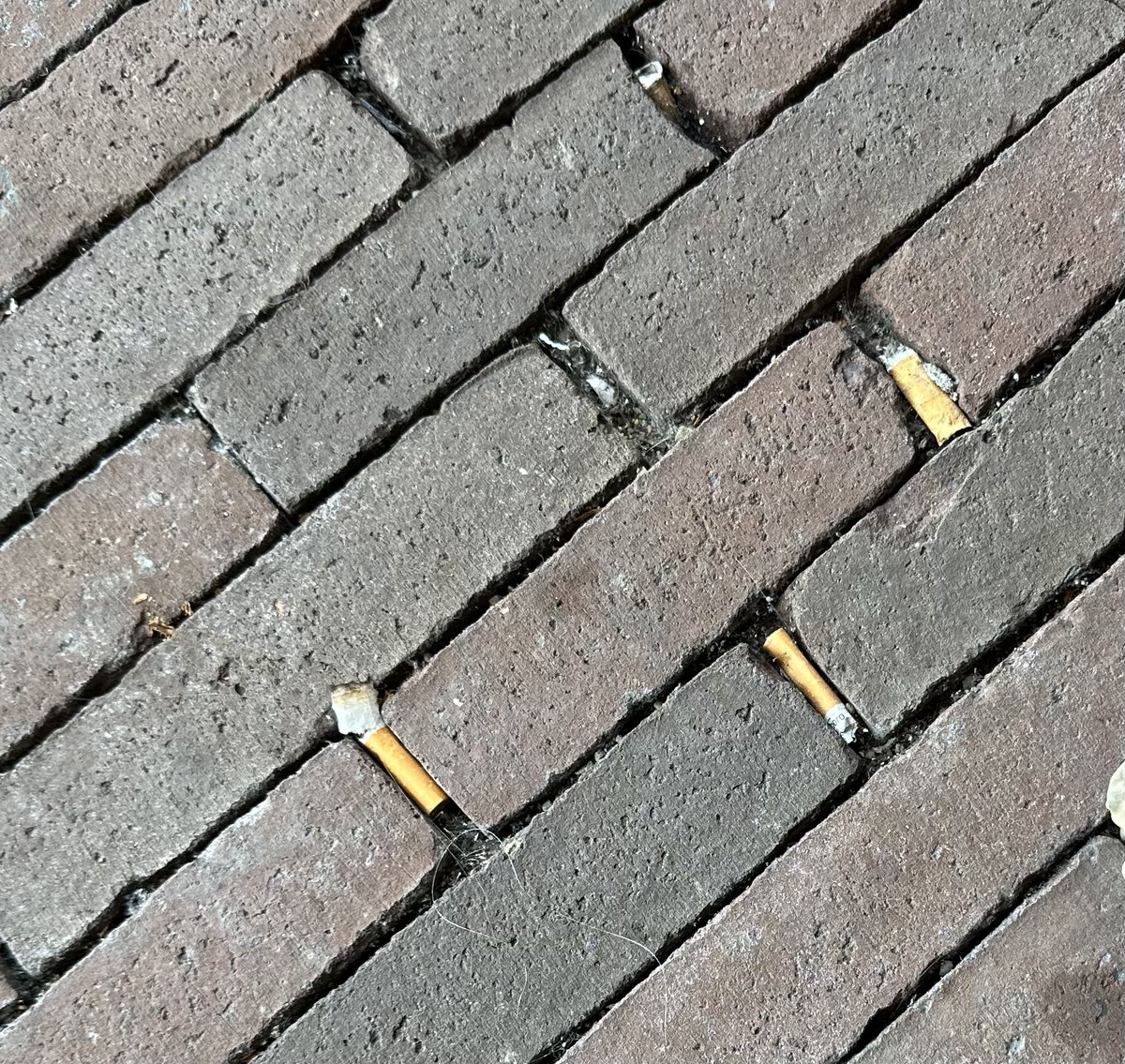 Ik pleit voor een stok met iets eraan waarmee je gemakkelijk peuken kunt opruimen zonder ze met de hand te hoeven vastpakken. En ik zoek alvast een goede naam voor zo’n stok.