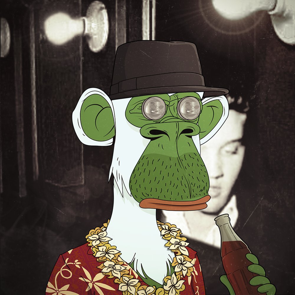 King Pepe tweet media