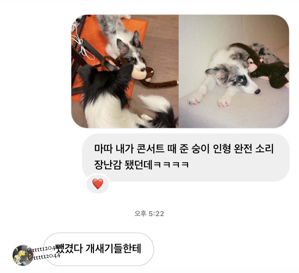 tttt12044's tweet photo. 안토일 미치겠다ㅋㅋㅋㅋㅋㅋㅋㅋㅋㅋ
명태랑 소리한테 뺏겼다는게 개웃김 https://t.co/fbpezTYdsj