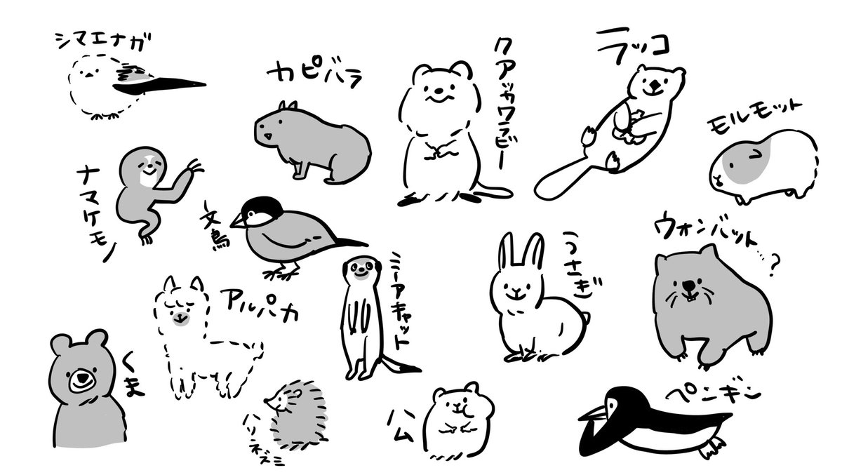 みなさんからご意見いただいた動物たちをザッと描いてみたんですが、描いたことないのばかりでちゃんと描けてるか分からない😇  特に君だよウォンバット…これウォンバットになってる…?