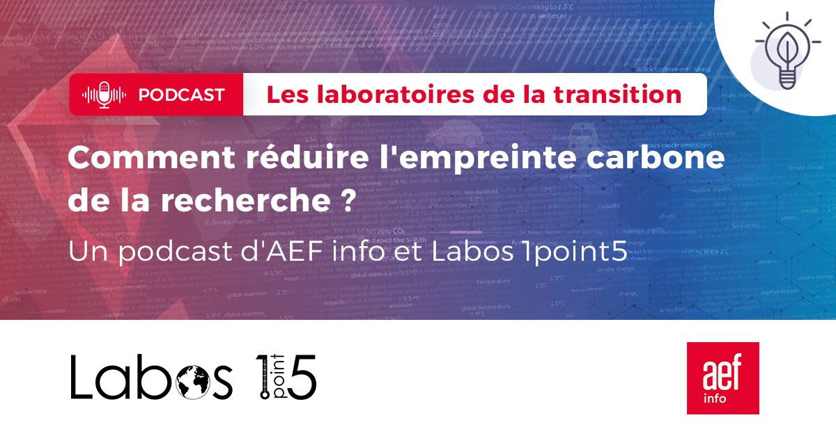 Anne Roy tweet media