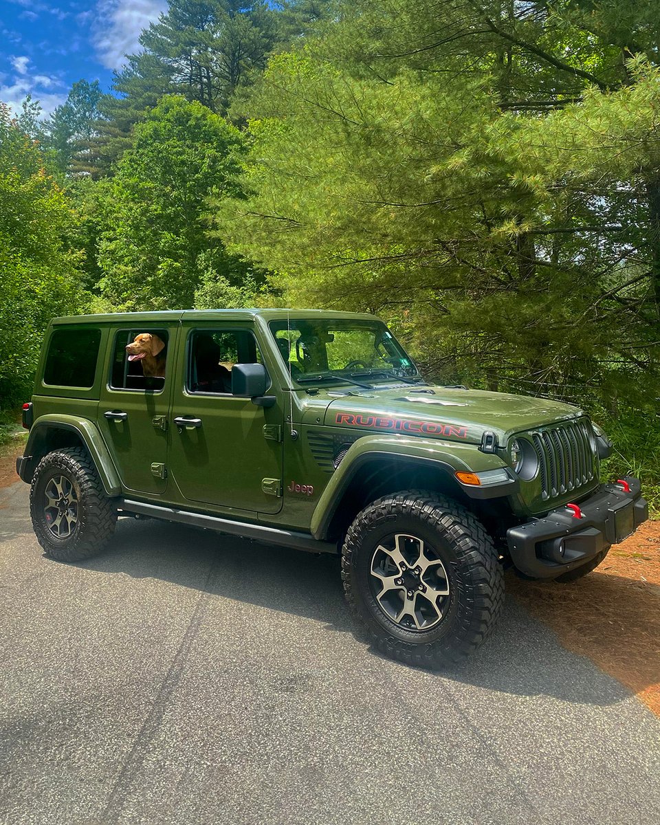 Jeep's tweet photo. This picture is worth a thousand sniffs. 🐶​

📸: Jaqueline M. https://t.co/jGfnC1WeBb