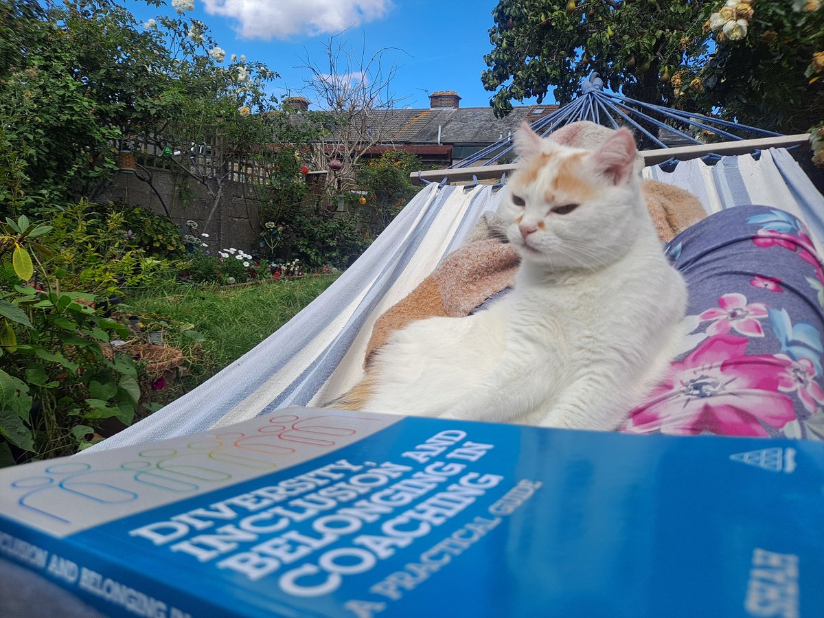 hornej13's tweet image. My kind of annual leave. Being present in this beautiful moment, whilst also thinking about all of the potential that the future holds 💙🤍❤ #CatsOfTwitterX #LazyDay #Neurodiversity #Coaching #Mindset #Growth