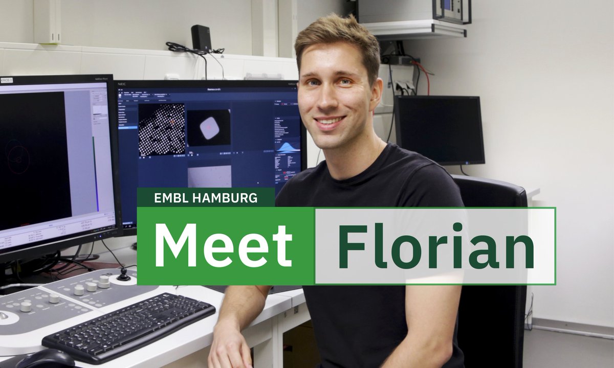 Meet Florian Gabriel 🇩🇪, Predoctoral Fellow at EMBL Hamburg.

He studies proteins that transport vitamins in our body, and their interaction with medical compounds.

He loves languages – he already speaks four, and is currently learning five more.