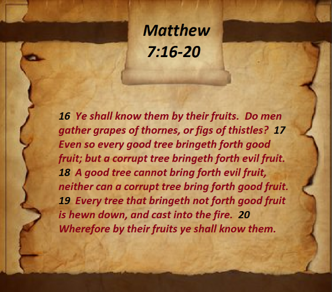 Faithful_Lambs's tweet photo. “Ye have not chosen me, but I have chosen you, and ordained you, that ye should go and bring forth fruit, and that your fruit should remain: that whatsoever ye shall ask of the Father in my name, he may give it you.” John 15:16
#BringForthFruit #Chosen #JesusSaves https://t.co/mWDojaYQOE