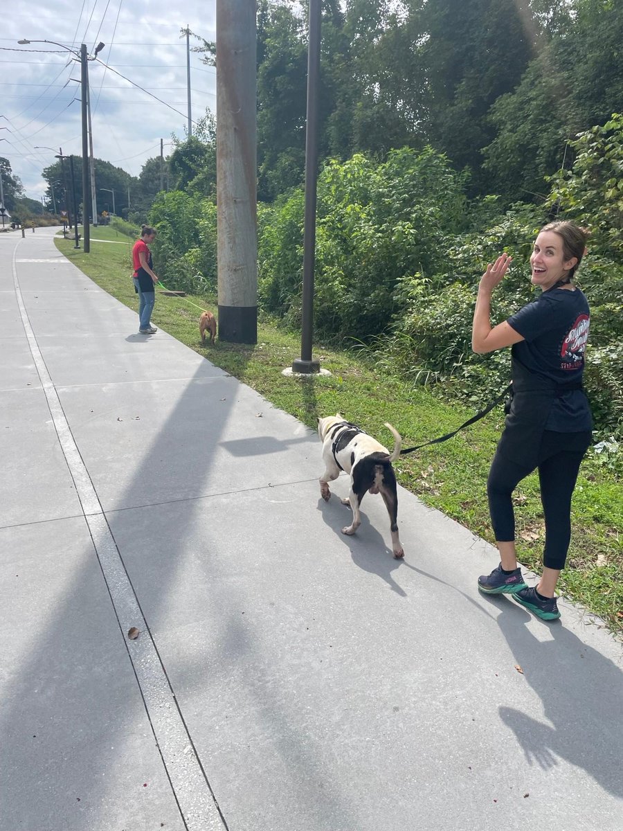 Pawsitively grateful for the opportunity to lend a helping hand at Fulton Animal Services/Life Line. From leash walks to shelter TLC and crafting pup-tastic activities, we're all about spreading love and tail wags. Every little effort counts in making their world a bit brighter.