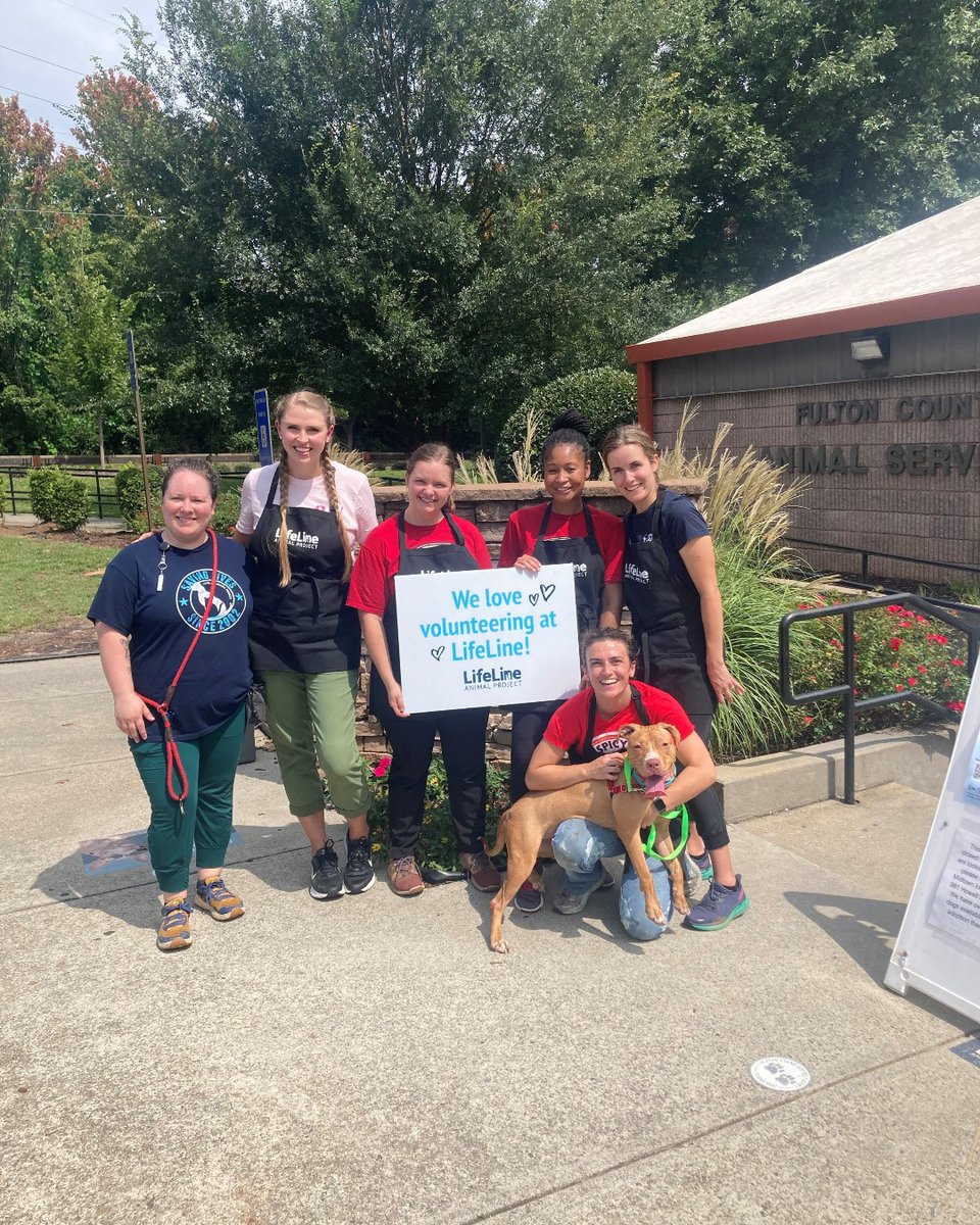 TurningPointBCR's tweet photo. Pawsitively grateful for the opportunity to lend a helping hand at Fulton Animal Services/Life Line. From leash walks to shelter TLC and crafting pup-tastic activities, we're all about spreading love and tail wags. Every little effort counts in making their world a bit brighter. https://t.co/SsXdaDUYfI