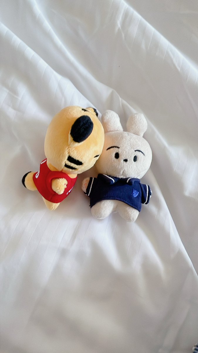 mangombear's tweet photo. 저도 사진 찍었는데..! 올해 선물 받은 굿즈들 사진만 찍어놓고 아직 트윗을 못하고 있는데 다른 분들 축하 트윗에 더불어 두장 먼저 올려봅니다. 귀여운 인형 너무 감사드려요!❤️❤️💕💕 https://t.co/7QdW9FUaLK