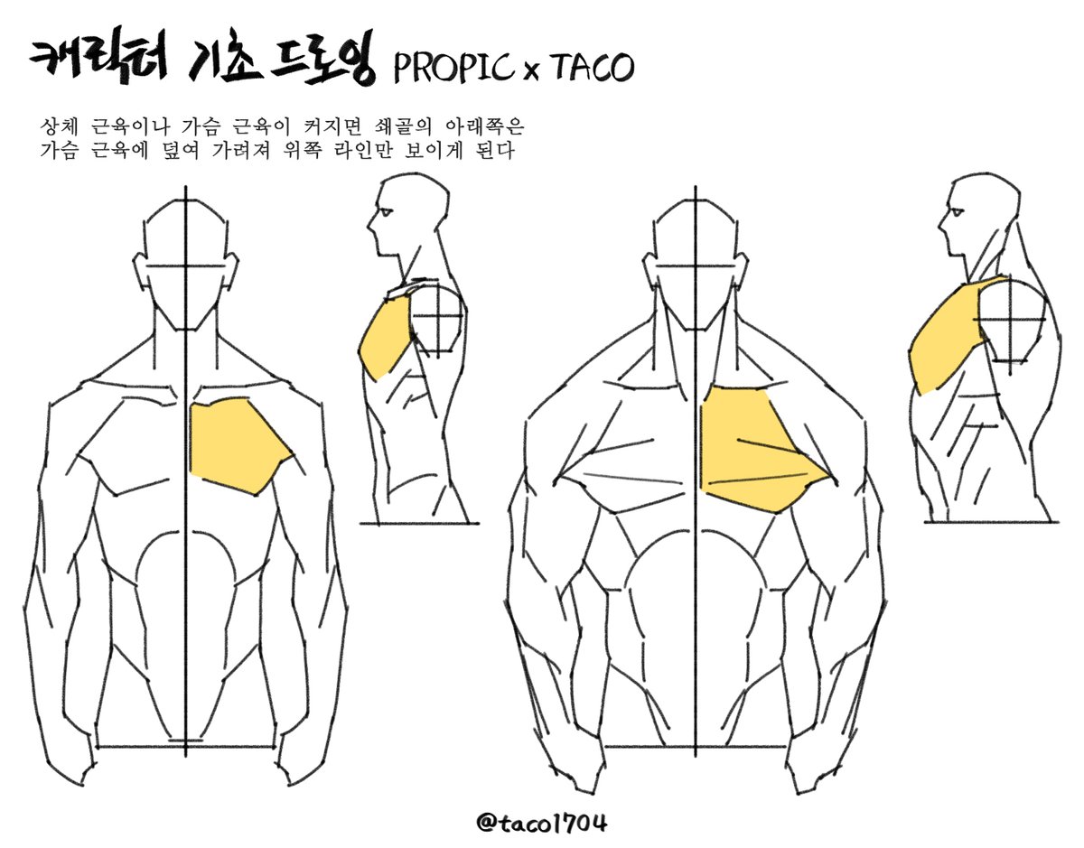 타코작가 tweet media