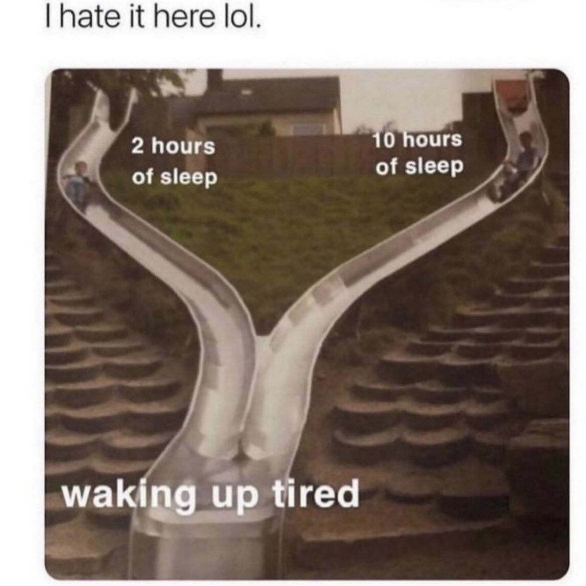 LiLFun_'s tweet image. #meme #fact #LiLFun