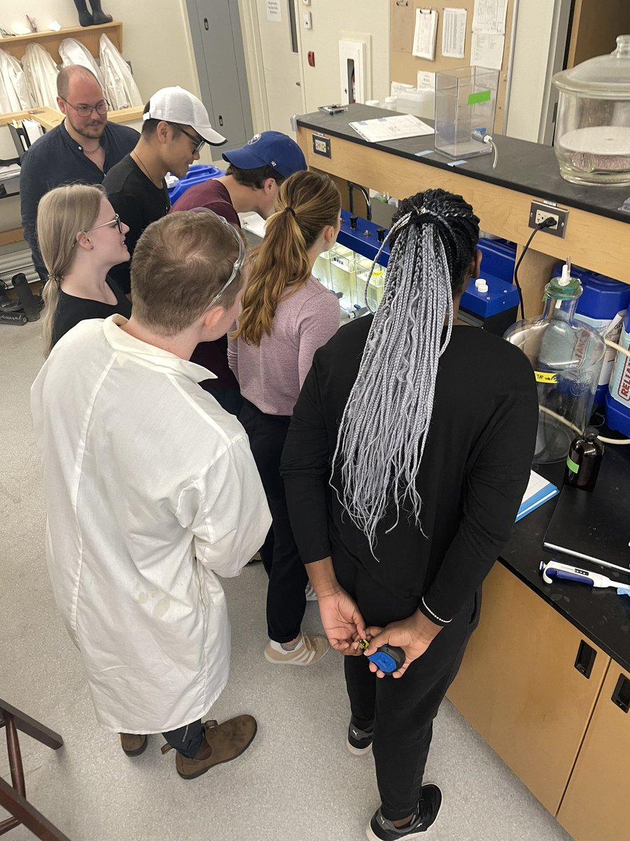 lindsay anderson 💧 tweet media