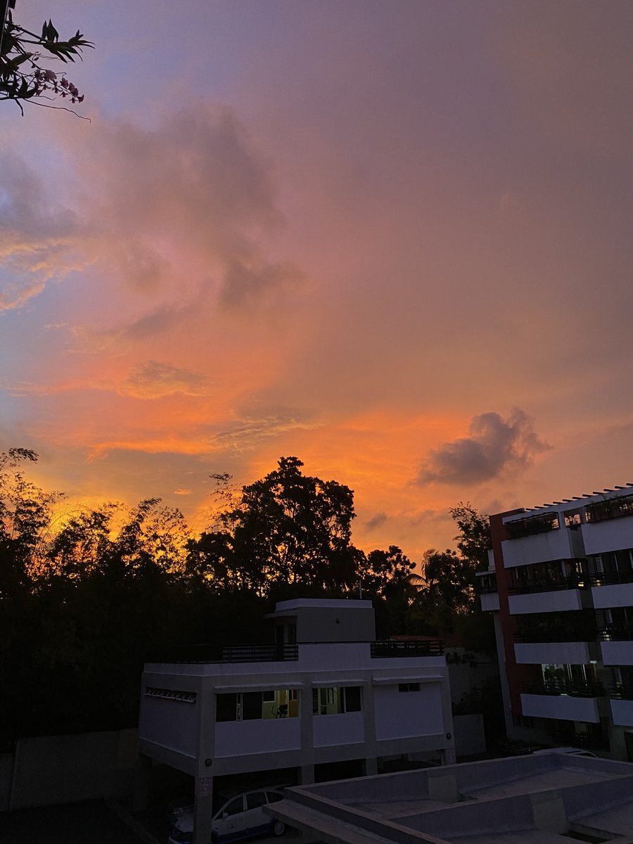 SpinalKatherine's tweet photo. la temporada de los atardeceres más bellos está llegando 🤎 https://t.co/KfIt4pIJbu