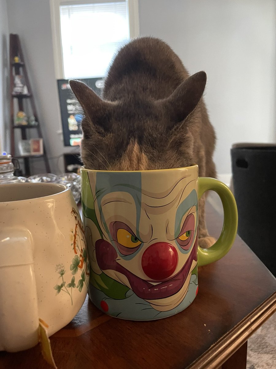 MingeBop's tweet photo. Drinking vodka https://t.co/jKoq7QYZVr