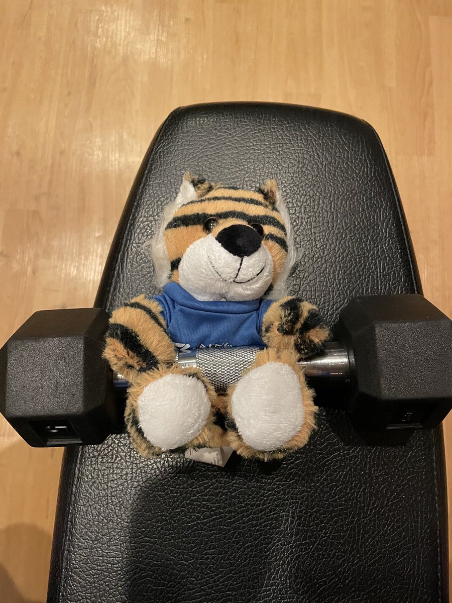 Validity Tiger is so pumped for the last day of Dreamforce #df23 that he made sure to hit the gym. ⁦<a href="/TrustValidity/">Validity</a>⁩