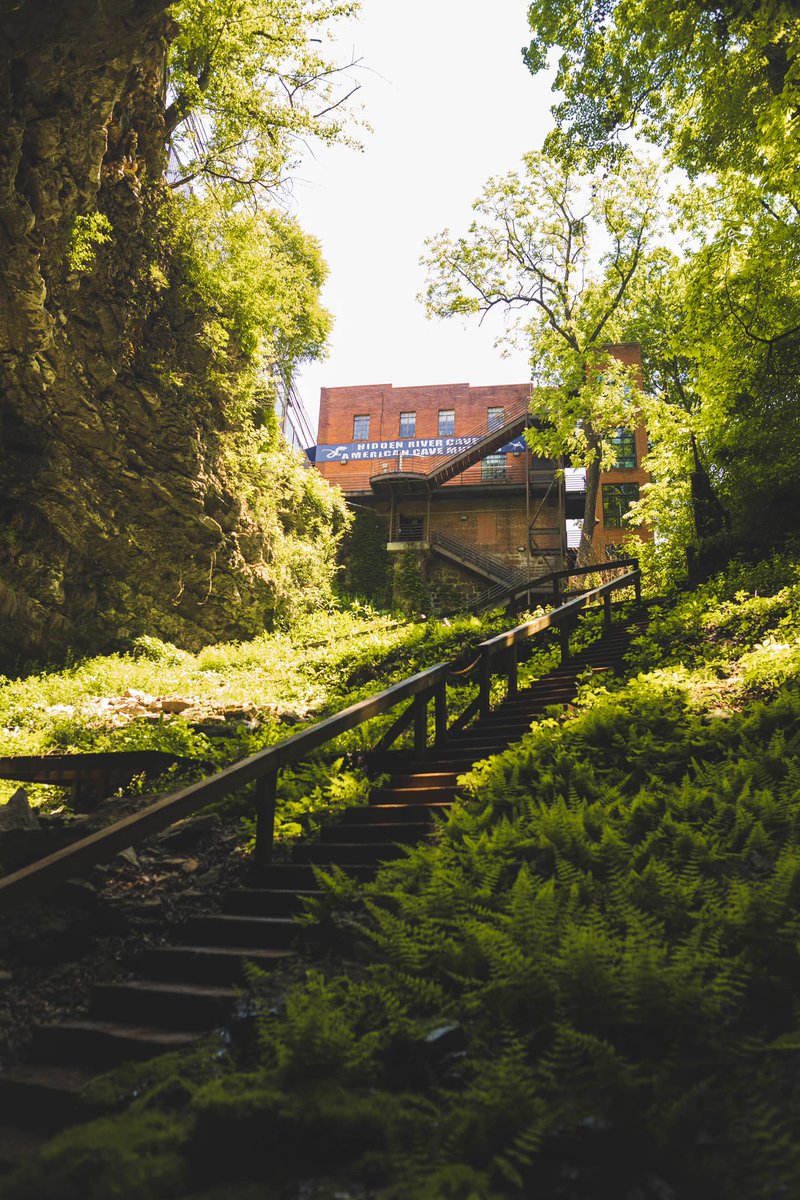 Have you walked across the world’s longest swinging underground bridge?  <a href="/HiddenRiverCave/">Hidden River Cave</a> features this incredible feature, along w/cave tours &amp; off-trail cave adventure tours. Also visit the American Cave Museum! ➡hiddenrivercave.com
📸: <a href="/HiddenRiverCave/">Hidden River Cave</a> 
<a href="/HartCoTourism/">Hart County Tourism</a>