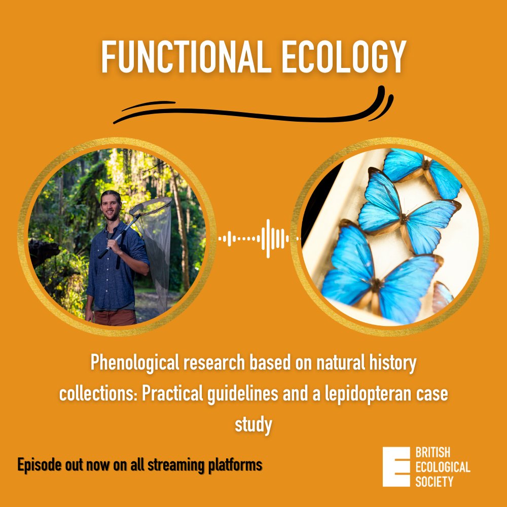 Functional Ecology (@funecology) on Twitter photo 🎧Podcast out now🎧
🦋We chat with <a href="/MikesMothModels/">Michael Belitz</a> about best practice for using natural history collections to better understand how seasonal biological events are responding to global change🔎
<a href="/FloridaMuseum/">Florida Museum</a>
Listen here⬇️
🟢buff.ly/46cWLei
🔶buff.ly/3LpuRng 🎧Podcast out now🎧
🦋We chat with <a href="/MikesMothModels/">Michael Belitz</a> about best practice for using natural history collections to better understand how seasonal biological events are responding to global change🔎
<a href="/FloridaMuseum/">Florida Museum</a>
Listen here⬇️
🟢buff.ly/46cWLei
🔶buff.ly/3LpuRng