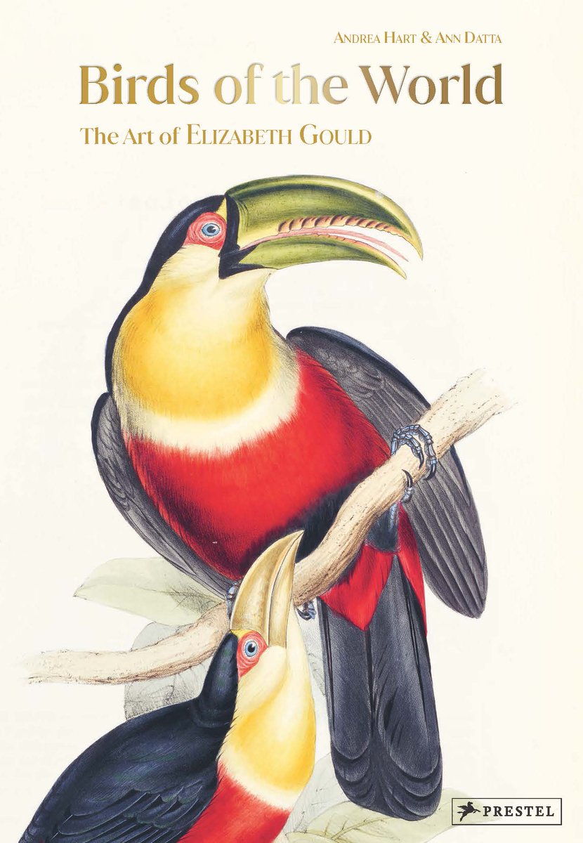 NHM Library and Archives tweet media