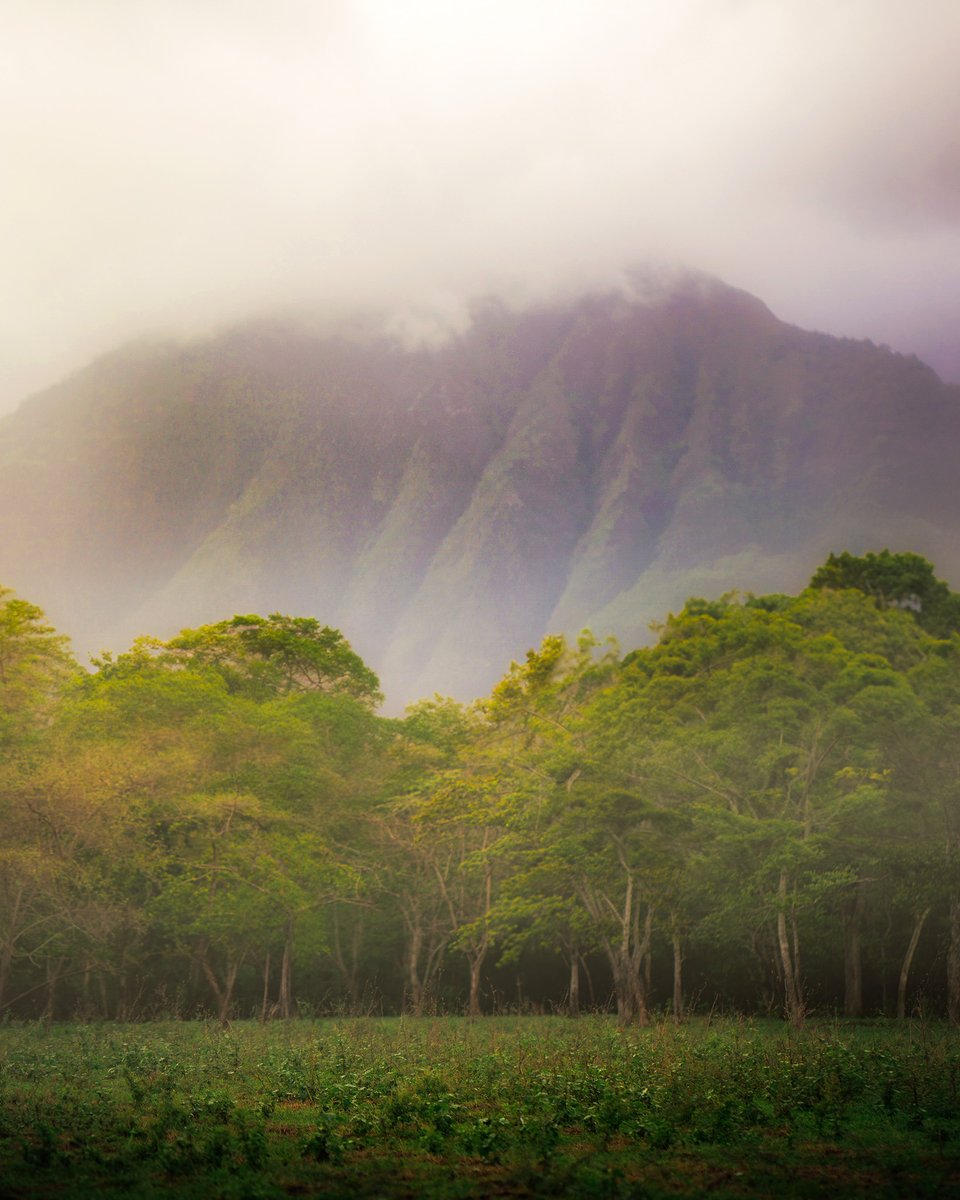 Albertus Pamungkas tweet media