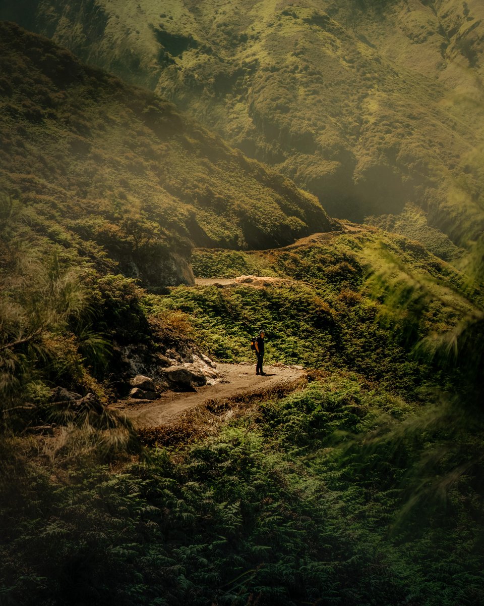 Albertus Pamungkas tweet media