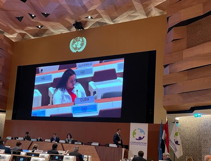 aixapaumier's tweet photo. At the closure of the #CCM11MSP we engaged constructively towards an outcome that ratifies the #CCMCommunity commitment to achieving a world free of cluster munitions.
#Cuba #LAP #CCM https://t.co/PQXVJvPbhb