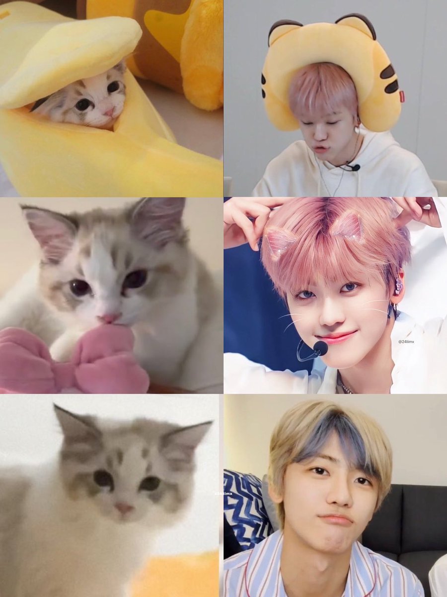 NJM__file's tweet photo. Luna really looks like him🐈♡

#JAEMIN #재민 https://t.co/rvUqfo8N2p