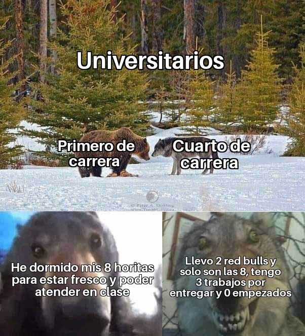 Complutense Out of context (@ooc_complutense) on Twitter photo 