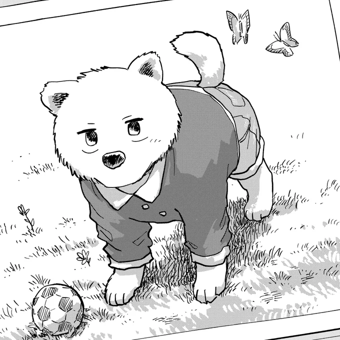 今月号の月刊アクション(9月25日発売)には新作「狼男のアルバム」が掲載されます!よろしくお願いいたします!☺ 