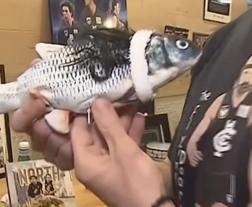 Bruce Doull (@dyingfloormat) on Twitter photo 