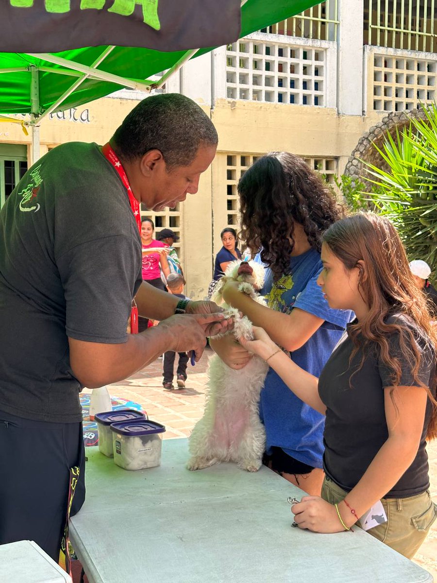 En un despliegue entre la Secretaría de Misiones y Grandes Misiones de la @AlcaldiaDCcs, Farmacias Caribe e @inmerca_caracas, se realizó una jornada de atención integral y veterinaria a la comunidad de Cochecito, en Coche @gestionperfecta #14Sep #VenezuelaYChinaIndestructibles