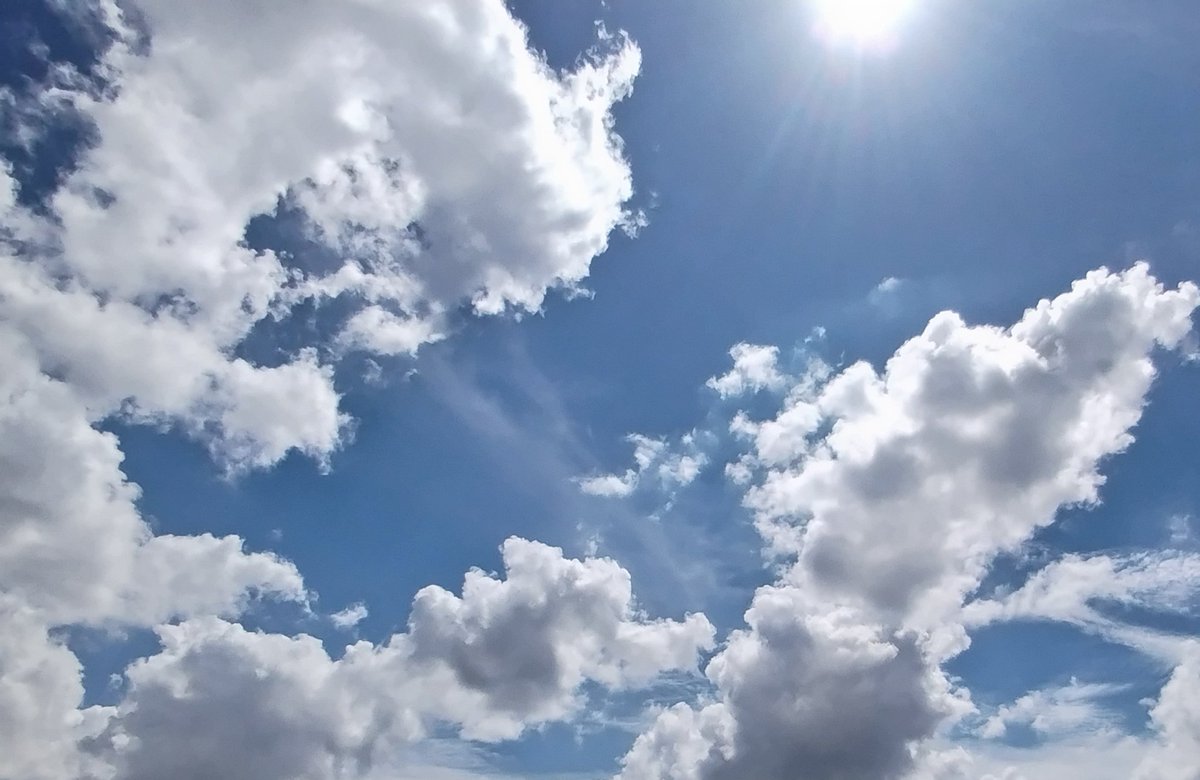 いつかの夏の空

毎日空を見ると感性が磨かれる、って聞いてから見続けていたら空が好きになった🌫️✨　初めは何も感じなかったけど、だんだん面白さ(?)がわかってきた気がする…

続けたら、もっと色んなこと感じとれるようになるのかな?
ワクワク☺️