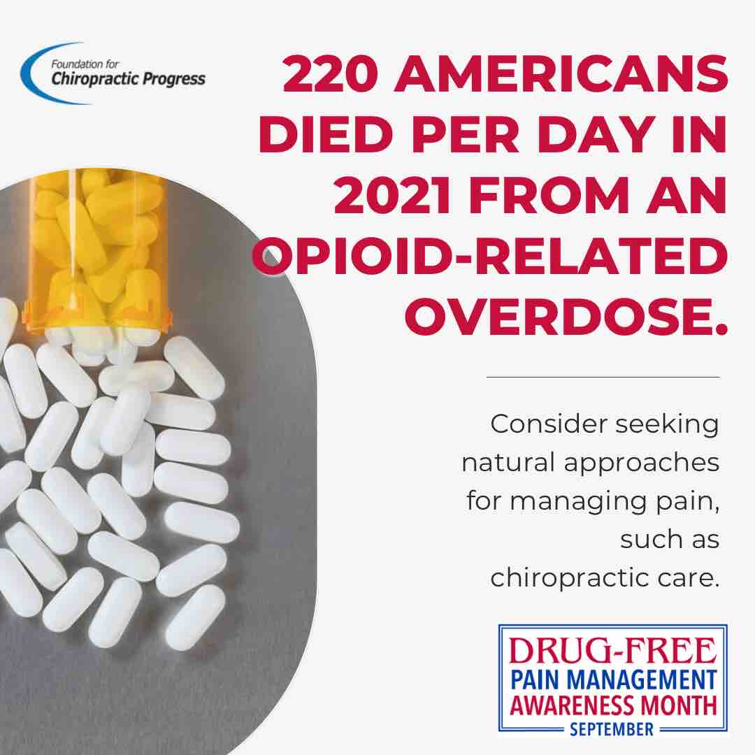 F4CP's tweet photo. When seeking natural approaches for managing pain, consider putting chiropractic at the forefront.

#ThinkChiropractic https://t.co/xhEsCiXlLo
